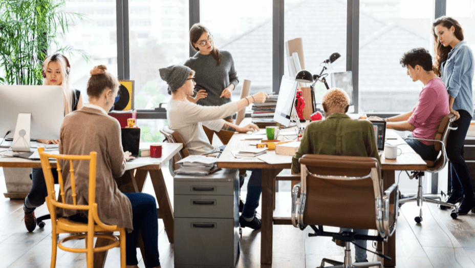 team working in the office