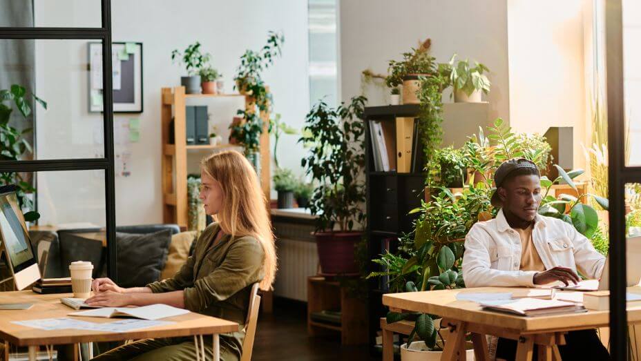 colleagues working in a sustainable office