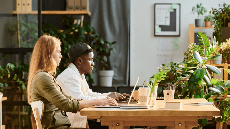 colleagues working in a sustainable office