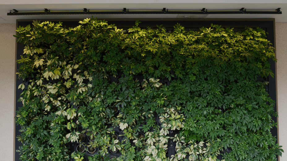 green_wall_in_a_conference_room