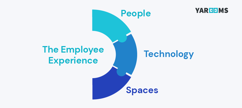 the employee experience components