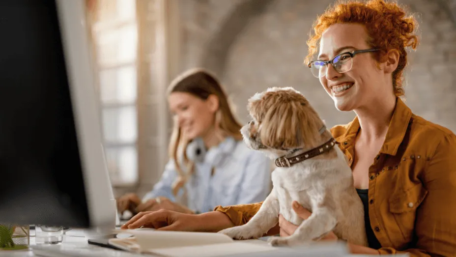 pet-friendly office