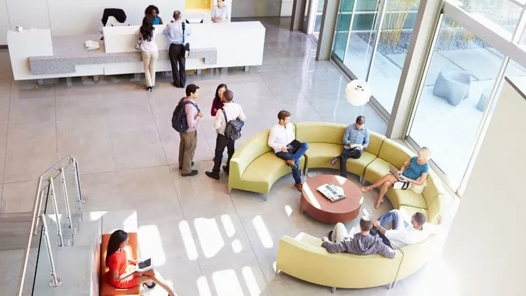 A well-designed reception area that creates a welcoming atmosphere for guests.