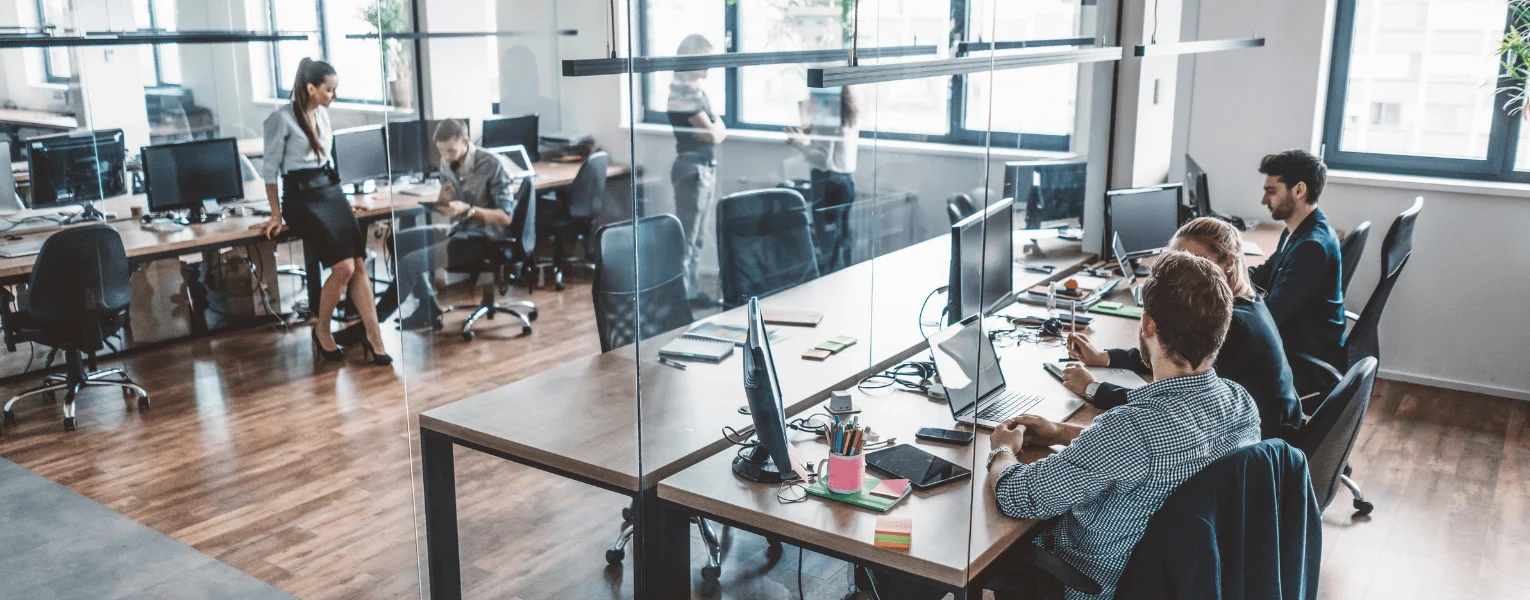 Dedalus success story with YAROOMS